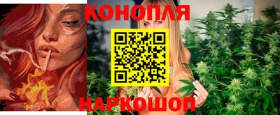 СК Краснознаменск