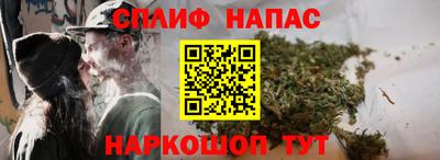СК Краснознаменск