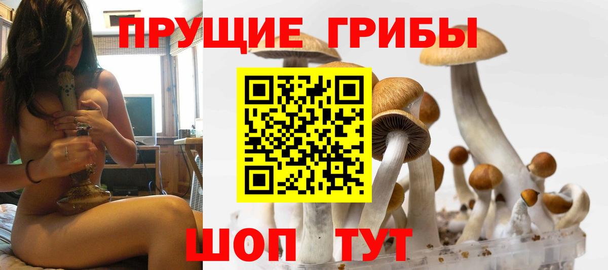 Галлюциногенные грибы Cubensis Коломна