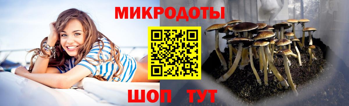 Галлюциногенные грибы прущие грибы  Вход с VPN  как найти закладки  Коломна 